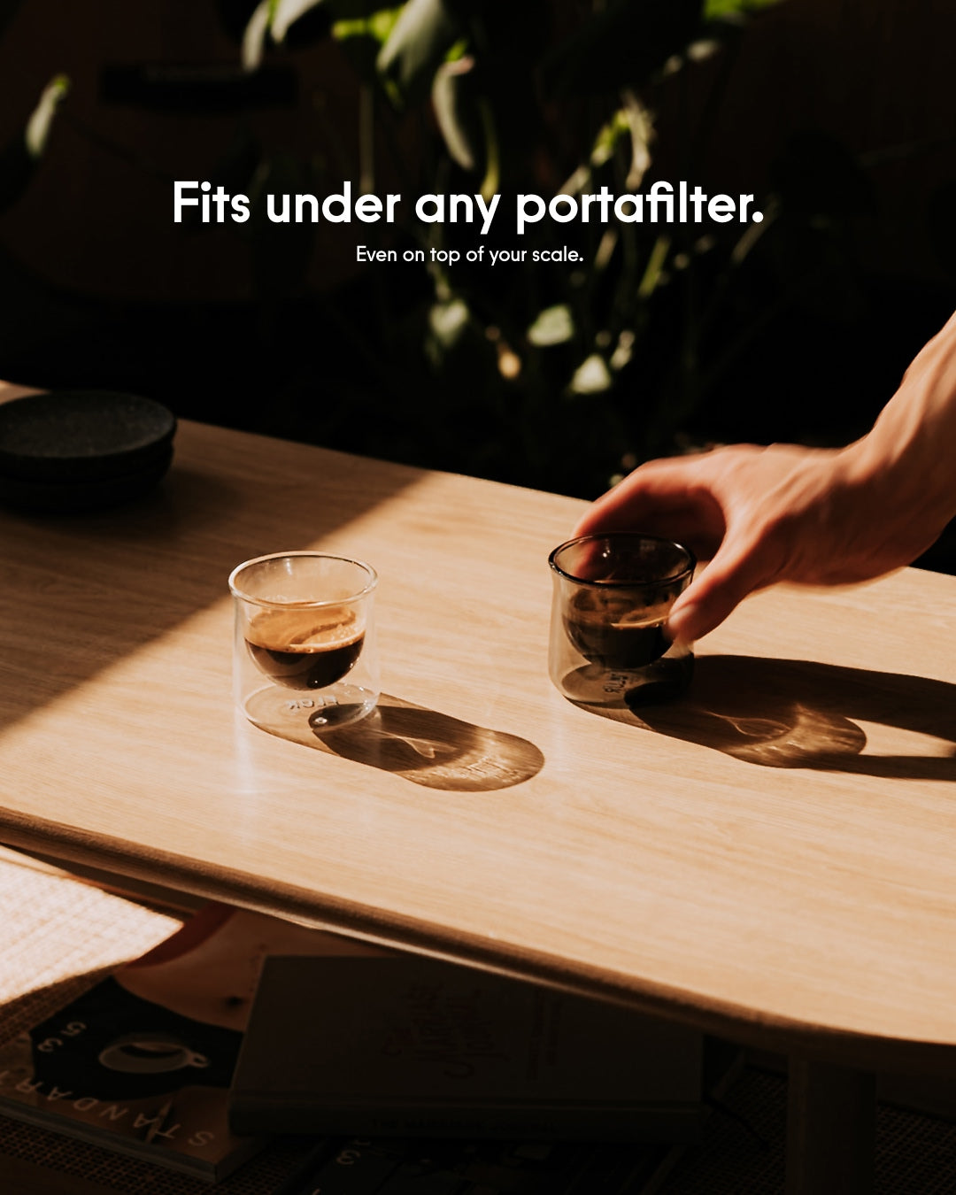 FLUR Espresso Glasses